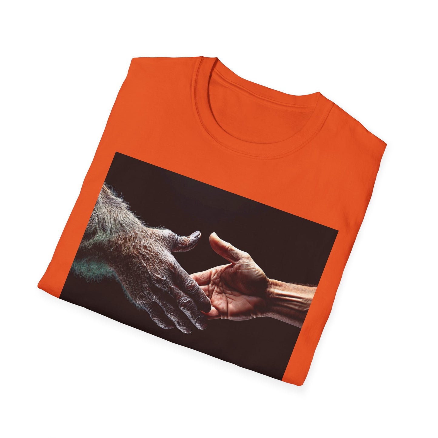 'Offer of Friendship' Connection T-Shirt | Unisex Softstyle Tee