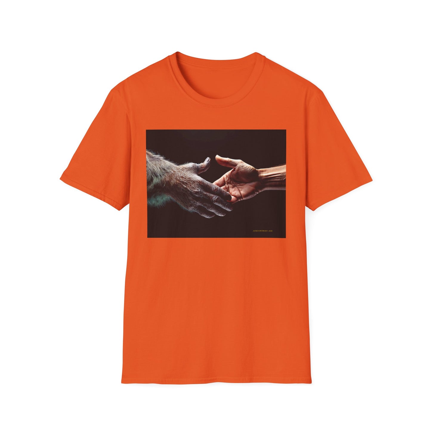 'Offer of Friendship' Connection T-Shirt | Unisex Softstyle Tee