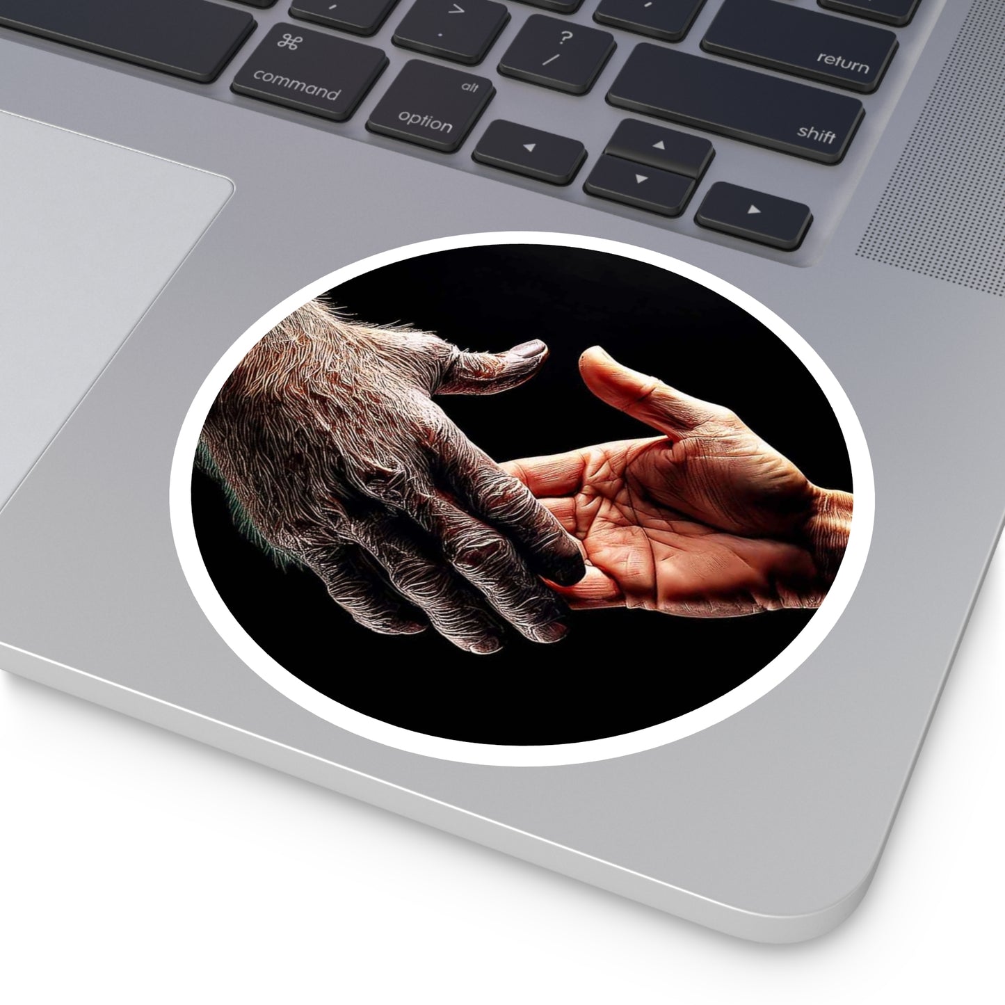 Copy of 'Maybe We Could Be Friends' Unity Round Stickers - Indoor/Outdoor, Handshake Design for Connection and Compassion