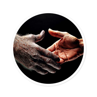Copy of 'Maybe We Could Be Friends' Unity Round Stickers - Indoor/Outdoor, Handshake Design for Connection and Compassion