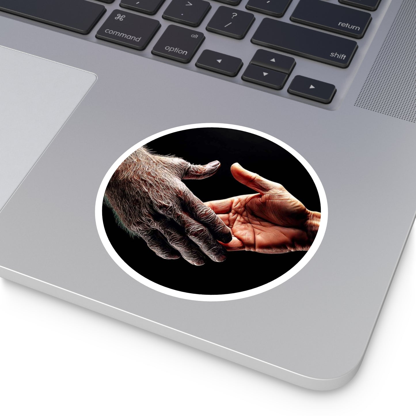 Copy of 'Maybe We Could Be Friends' Unity Round Stickers - Indoor/Outdoor, Handshake Design for Connection and Compassion